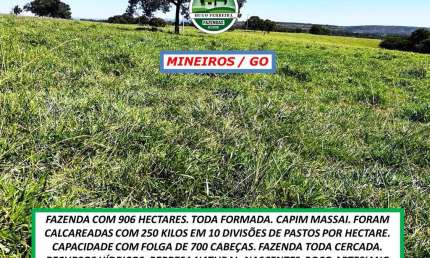 FAZENDA COM TOPOGRAFIA PLANA E ONDULADA-TODA CERCADA-ESTRUTURADA