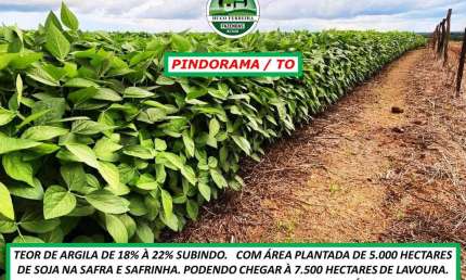 FAZENDA COM RODOVIA DENTRO DA PROPRIEDADE-SAFRA E SAFRINHA-ARGILA ALTA