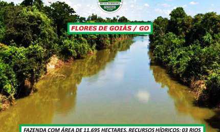 FAZENDA À 26KM DO ASFALTO-ENTRE GOIÂNIA E BRASÍLIA-DIVERSAS APTIDÕES