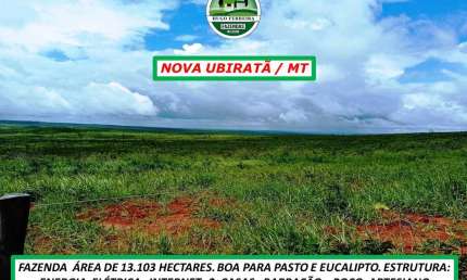 FAZENDA DUPLA APTIDÃO TOPOGRAFIA PLANA ARGILA ACIMA DE 30%