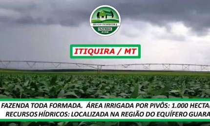 FAZENDA MODELO NA REGIÃO- TODA FORMADA E IRRIGADA POR PIVÔS-ESSTRUTURADA
