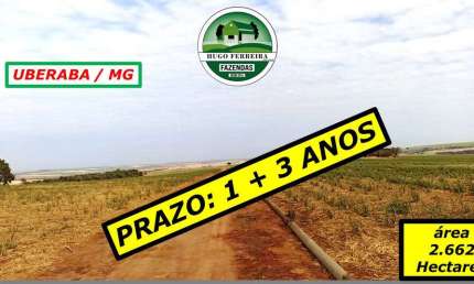 FAZENDA TOPOGRAFIA PLANA E SEMI-PLANA-INFRAESTRUTURA EXCELENTE-ESTRUTURADA
