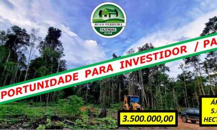 FAZENDA PRONTA PARA PLANTAR AREA DE RESERVA E TODA ESTRUTURADA