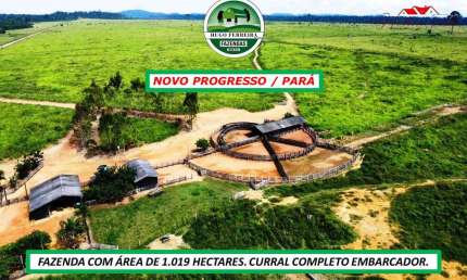 FAZENDA DUPLA APTIDÃO ESTRUTURADA NEGOCIÁVEL: ENTRADA E SALDO PRA DOIS ANOS