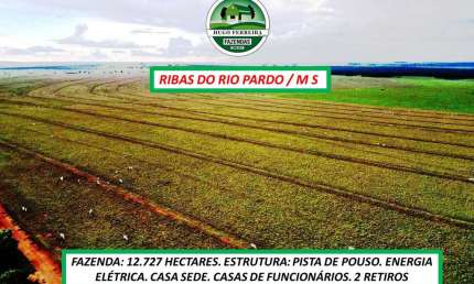 FAZENDA  COM ARGILA 12 À 18% ÀS MARGENS DA RODOVIA MS-338 ESTRUTURADA