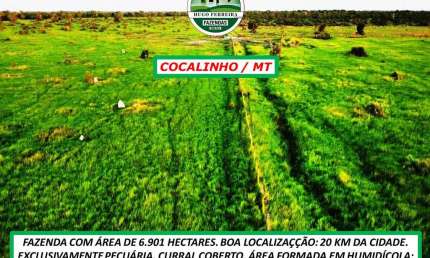 FAZENDA EXCLUSIVAMENTE PECUÁRIA 20 KM DA CIDADE FARTURA DE ÁGUA
