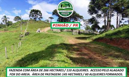 FAZENDA DISTANTE 33KM DA CIDADE TODA CERCADA DE ARAMES ESTRUTURADA