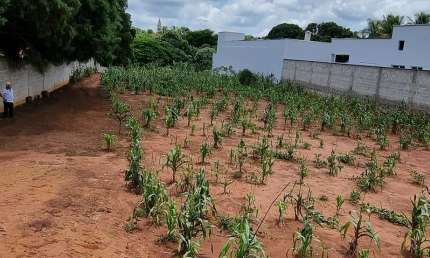 Ótimo Terreno em Condomínio Fechado 24hs Vitassay de 2.275m2,  em Boituva - SP