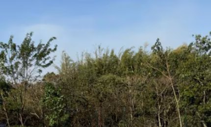 Lindo Terreno de 212m², em Condomínio Fechado Gran Reserve - Indaiatuba - SP.