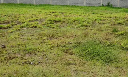Lindo terreno de 300m², em condomínio fechado london itaici, em indaiatuba - sp.