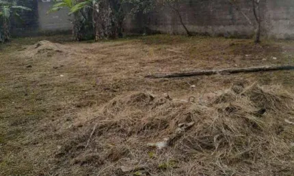 Terreno  à venda, 250 m² por R$ 90.000 - Jardim Marcia I - Peruíbe/SP