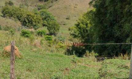 Terreno à venda, 24200 m² por R$ 250.000,00 - Borba - Pindamonhangaba/SP
