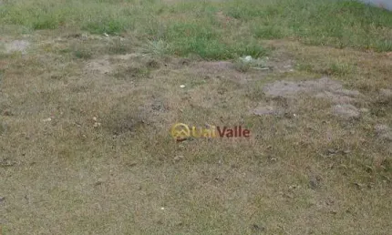 Terreno à venda, 250 m² por R$ 277.000,00 - Bairro dos Guedes - Tremembé/SP