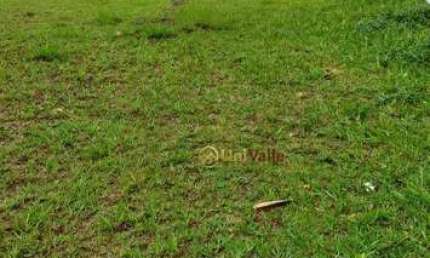 Terreno à venda, 250 m² por R$ 385.000,00 - Campos do Conde I - Tremembé/SP