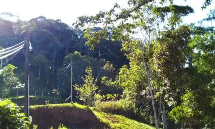 Terreno à venda na Rua José Francisco de Souza, São Sebastião, Palhoça