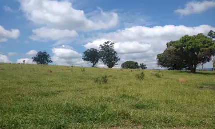 Vende-se esta área com 89 mil metros em Brigadeiro Tobias