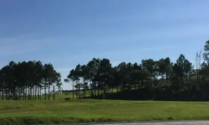 Área na rodovia castelo branco km 90,5, em frente a,toyota. terreno 10.900 m².