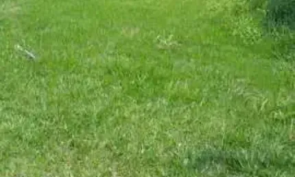 Terreno no Condomínio Valville 2 - Santana de Parnaíba
