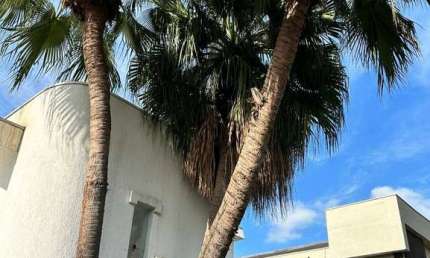 Casa Arejada em Alphaville Residencial Dois - 4 Quartos, 2 Suítes, Área de Lazer Completa e 4 Vagas