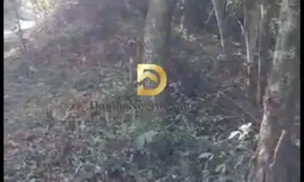 Terreno à venda na das Nascentes, Alpes dos Araçás (Jordanésia), Cajamar por R$ 690.000