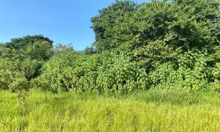 Terreno à venda, 1000 m² por R$ 1.100.000,00 - Enseada das Garças - Belo Horizonte/MG
