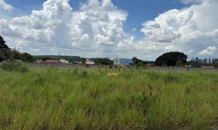Terreno à venda, 478 m² por R$ 382.200,00 - Loteamento Alphaville Campinas - Campinas/SP