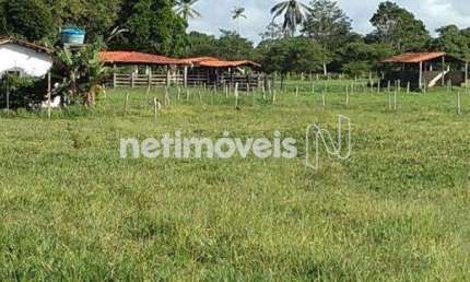 Fazenda à venda na Rua Ba 880, Zona Rural, Cachoeira