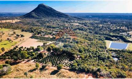 Fazenda à venda na Br 364, S/N, Zona Rural, Cuiabá