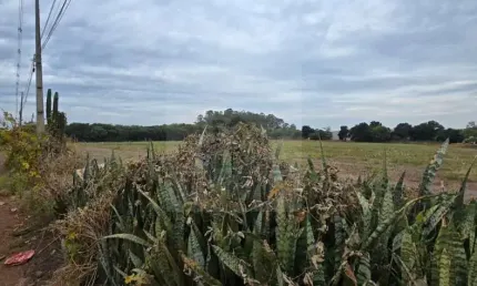 Terreno à venda na Avenida das Maritacas, S/N, Indusville, Londrina