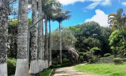 Chácara / sítio com 6 quartos à venda na Rua Domingos Pazini, Estância Angelina, Suzano