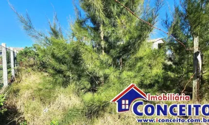 T169 - excelente lote medindo 300m² localizado em ótima região
