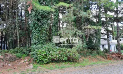 Terreno Residencial à venda, Vila Suzana, Canela - TE0553.