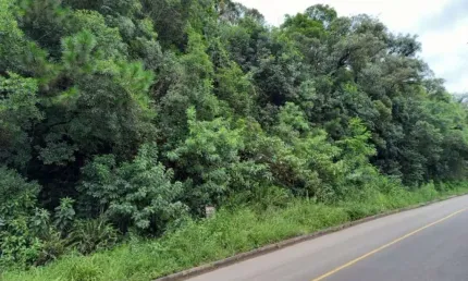 Terreno à venda, 1200 m² por r$ 535.900,00 - alpes verdes - canela/rs