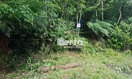 Terreno à venda, 682 m² - Colinas de São Francisco - São Francisco de Paula/RS