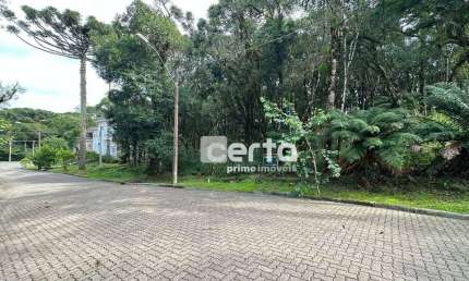 Terreno à venda, 744 m² por R$ 630.000,00 - Pinheiro Grosso - Canela/RS