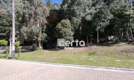 Terreno à venda, 369 m² - Mirante do Vale - Canela/RS