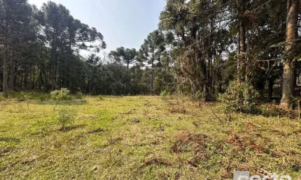 Terreno à venda no Caracol, Canela 