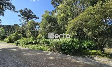 Terreno à venda na Suzana, Canela 