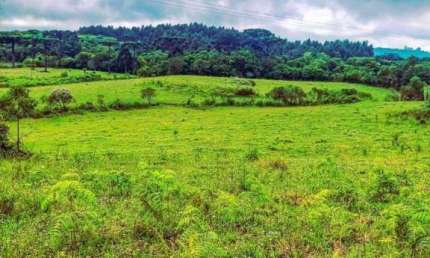 Grande oportunidade, Sítio à venda, 70.000 m²- Serra Grande - Gramado/RS