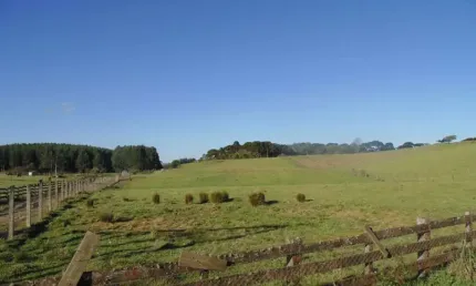 Terreno à venda no Saiqui, Canela 