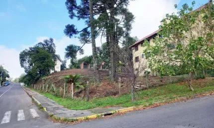 Terreno Residencial à venda, Vila Maggi, Canela - TE0375.