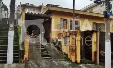 Casa com 5 quartos à venda na Rua Vianópolis, 319, Vila Maria Alta, São Paulo