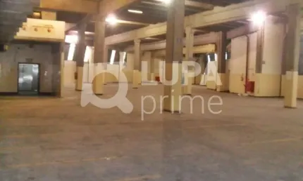 Galpão comercial com 7.789m² para locação, jardim guança, são paulo