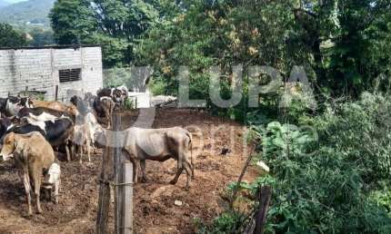 TERRENO RESIDENCIAL COM 1.000M² PARA VENDA, CABUÇU, GUARULHOS