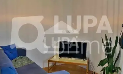 Apartamento com 2 quartos para venda, chácara inglesa, são paulo