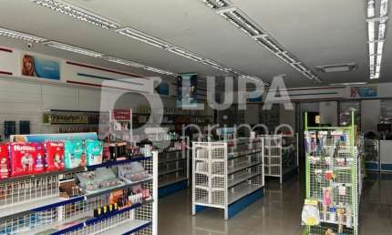 Ponto comercial para alugar na Avenida Coronel Sezefredo Fagundes, 2697, Tucuruvi, São Paulo