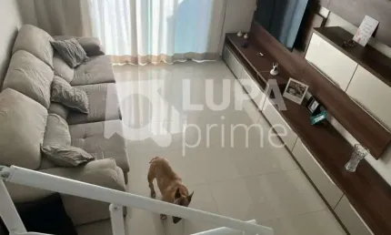 Casa com 3 quartos à venda na Rua Turiuba, 134, Jardim Franca, São Paulo