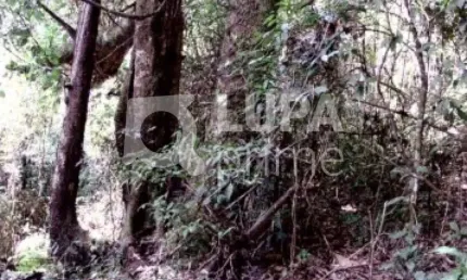Terreno em condomínio fechado à venda em Mairiporã!