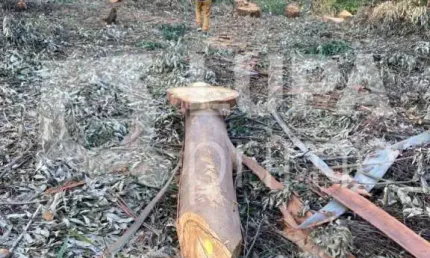 Terreno, em condomínio fechado, de 1575m² à venda, em Mairiporã