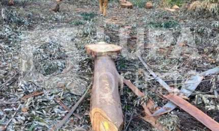 Terreno, em condomínio fechado, de 1575m² à venda, em Mairiporã